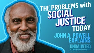 Why “Inclusion” isn’t the Right Idea with Professor john a powell  Undaunted [upl. by Amliw751]