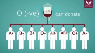 Blood Donation Guide [upl. by Chatav]