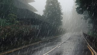 Maravilloso Sonido de Lluvia para Dormir Relajante Estudio Meditación  Lluvia en Bosque Brumoso [upl. by Warchaw]