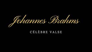 Johannes Brahms Célèbre Valse [upl. by Nileak]