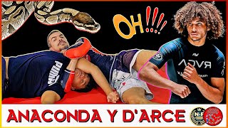 ANACONDA Y DARCE CHOKE  TUTORIAL PARA PRINCIPIANTES  BJJ MMA NOGI  Escuela de grappling [upl. by Anaj]