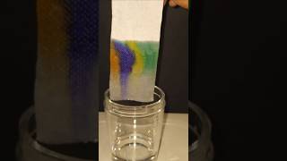 What Happens When You Master Chromatography in Just 1 Day chromatography ytshorts experiment [upl. by Ynaittirb]