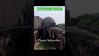 Begumpur Masjid tasveerculture history masjid mosque mughal shorts viralvideo travel [upl. by Ecreip]