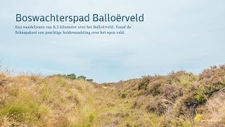 Boswachterpas Balloërveld [upl. by Patsis]