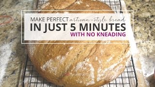 5 Minute Artisanal Bread [upl. by Sothena]