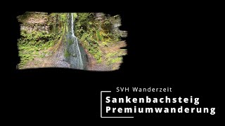 Premiumwanderung Sankenbacksteig in Baiersbronn im Schwarzwalds  Preview [upl. by Atteuqahc]