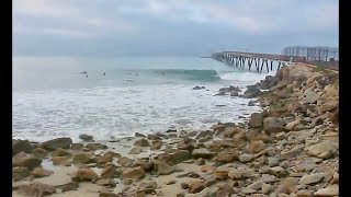 Little Rincon  Mussel Shoals 1 SurfSpot Video [upl. by Clintock]