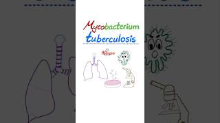 Mycobacterium tuberculosis  Tuberculosis TB  Microbiology…nurse doctor biology mbbs study [upl. by Annai]