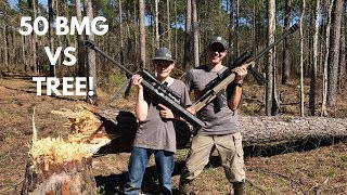 Shooting Down a Tree with 50BMG [upl. by Haimarej620]