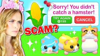 NEW Hamsters Update In Adopt Me Will I Get SCAMMED Roblox [upl. by Ide]