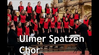 Tundra von Ola Gjeilo  Ulmer Spatzen Chor [upl. by Macmillan]