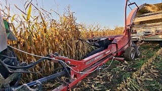 Finally Chopping The 1st Corn Silage On Our Farm Filling Silos And AgBags [upl. by Gussman934]