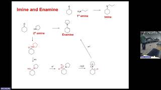 Organic Chemistry 2  Formation of imine and enamine [upl. by Burra113]