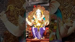 Ala re Ala Mahal Cha Raja Ala nagpuri ganeshchaturthi ganpatibappamorya trending viralshorts [upl. by Waller]