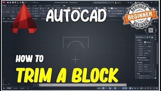 AutoCAD How To Trim A Block [upl. by Yerok]