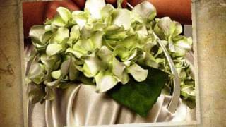 Naturaleza Exquisita Arreglos y decoracionesNovias y banquetesFlores preservadas [upl. by Nhguav686]