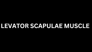 How to Pronounce quot Levator Scapulae Musclequot in EnglishHow To Say quotLevator Scapulae Musclequot [upl. by Noicpecnoc476]