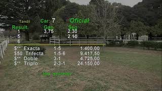 Hipódromo de Tandil en vivo  18 de Junio 2024 [upl. by Aibos]