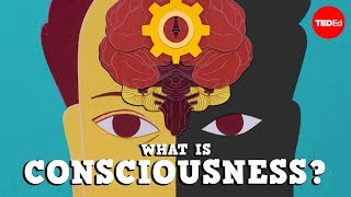 What is consciousness  Michael S A Graziano [upl. by Ayadahs]