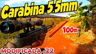 Carabina de pressão 55mm modificada pra munição 22lr tiro a 100m [upl. by Padraig]