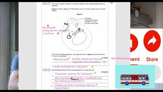 ALevel Biology paper 1 2023 Question 3 walkthrough Eukaryotic cells and natural selection [upl. by Ailecec810]