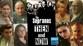 The Sopranos Then And Now 2019  27 Actors From The HBO TV Series 1999  2007 [upl. by Niwri332]