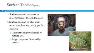 124 Intermolecular Forces in Action Surface Tension Viscosity amp Capillary Action [upl. by Htiek]