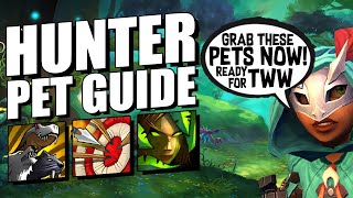 The ULTIMATE Hunter Pet Guide  The War Within  The Best Pets To Use In TWW [upl. by Cymbre643]