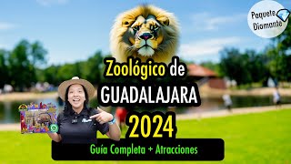 ✅ Zoológico Guadalajara 2024❗️DIAMANTE [upl. by Letta]