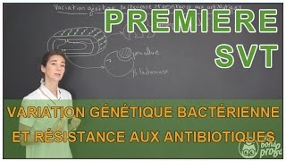 Variation génétique bactérienne et résistance aux antibiotiques  SVT  1ère  Les Bons Profs [upl. by Anissej]