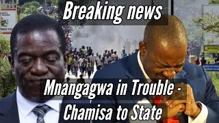 Mnangagwa in Trouble  Chamisa to State house 🇿🇼 [upl. by Reisch]