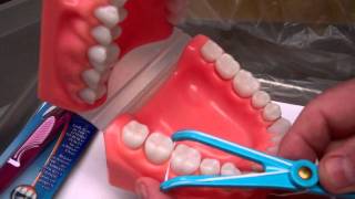 Flossing Technique  Oral Hygiene Instructions by Dr Berdy periodontist Jacksonville FL [upl. by Aynotak]