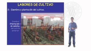 Labores de cultivo   UPV [upl. by Enilegna195]