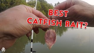 How To Catch Catfish From The Bank  Catfishing Bait Rigs amp Tips [upl. by Aja]