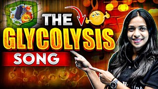 Learn The Steps Of Glycolysis Like Never Before 🎵🔥 [upl. by Jackie642]