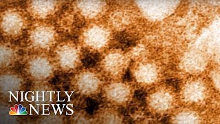 Norovirus Wreaking Havoc Across The Country  NBC Nightly News [upl. by Anilem]