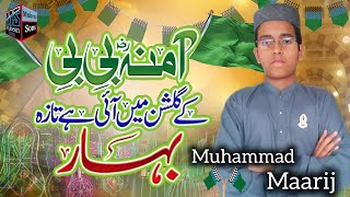 Amina Bibi Ke Gulshan Main  Muhammad Maarij  Jashan e Milad UN Nabi Special  Mubeen Sons [upl. by Malvino]