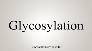 How To Say Glycosylation [upl. by Ryley]