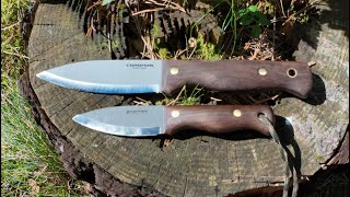 Condor Bushlore und Bushlore Mini  DIE Bushcraft Messer [upl. by Gillman]