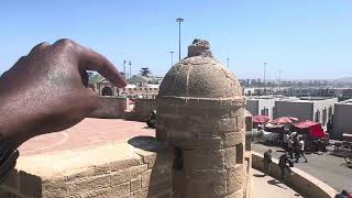 I VISITED ESSAOUIRA ON A BUDGET video marrakech essaouira [upl. by Eden]