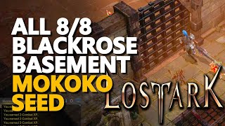 All Blackrose Basement Mokoko Seed Lost Ark [upl. by Anegal]