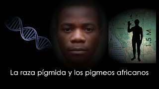 Raza pígmida y los pueblos pigmeos [upl. by Akinirt239]