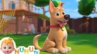 My Dog Song  Bingo  Toddler Songs amp Nursery Rhymes  NuNu Tv Kids Songs [upl. by Levey]