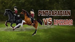 Arabian VS Lipizzaner  Speedtest  Star Stable Online [upl. by Burke]