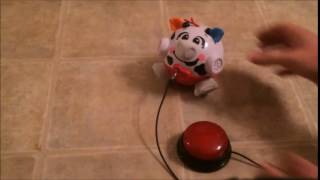 Switch adapted toys  Adaptive switches  Switch toys  Fisher Price Bounce and Giggle Cow [upl. by Nivre]