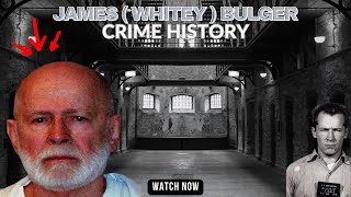 The Untold Story of James Whitey Bulger [upl. by Llyrrad9]