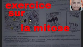 exercice sur la mitose [upl. by Yrbua]