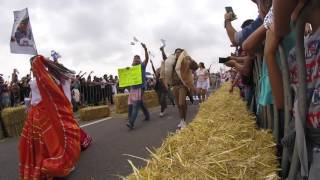 Redbull Soap Box Race México 2016 [upl. by Ityak]