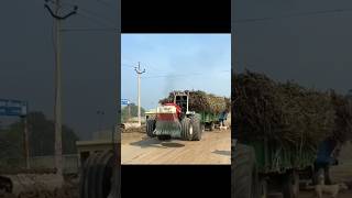 Nishu deshwal Swaraj tractor power in biggest trolley video youtubeshorts nishudashwal [upl. by Hyacinth746]