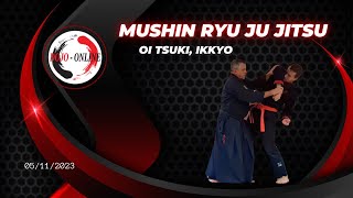 Mushin ryu Ju jitsu  Oi tsuki Ikkyo [upl. by Silin]